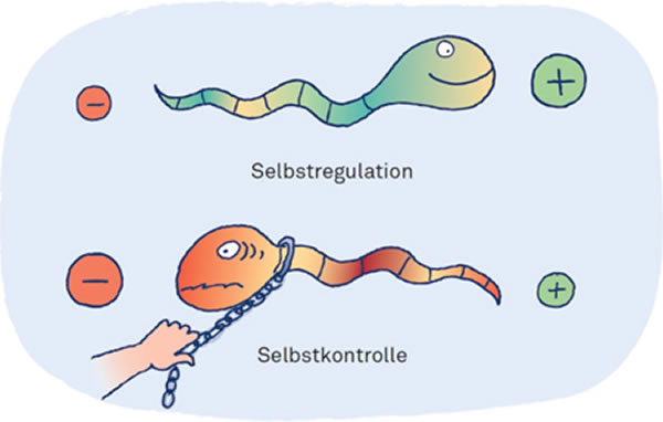 F&ouml;rderung der inneren Balance durch neuronale und somatische Prozesse