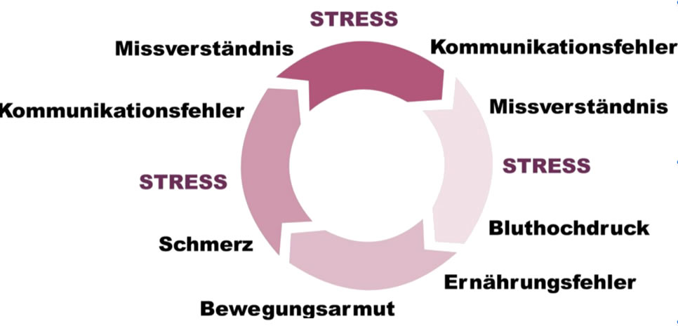 Kommunikation - Ernährung - Bewegung  und STRESS
